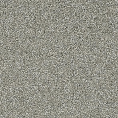 Floorever™ Petplus - Balboa by Phenix Carpet - Luxe Living