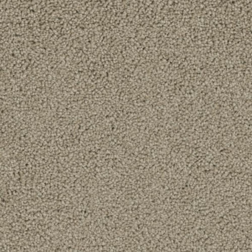 Floorever™ Petplus - Balboa by Phenix Carpet - Palm Bark