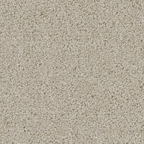 Floorever™ Petplus - Balboa by Phenix Carpet - Seashell