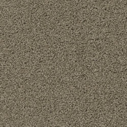 Floorever™ Petplus - Balboa by Phenix Carpet - Tiki Hut