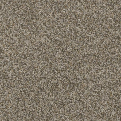 Floorever™ Petplus - Bari by Phenix Carpet