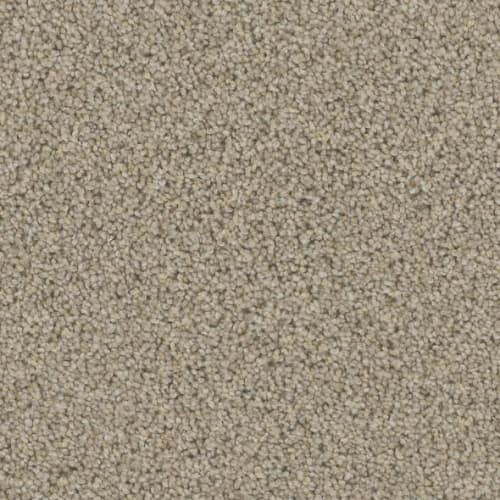 Floorever™ Petplus - Bari by Phenix Carpet - Artifact