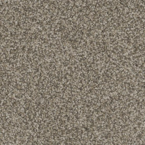 Floorever™ Petplus - Bari by Phenix Carpet