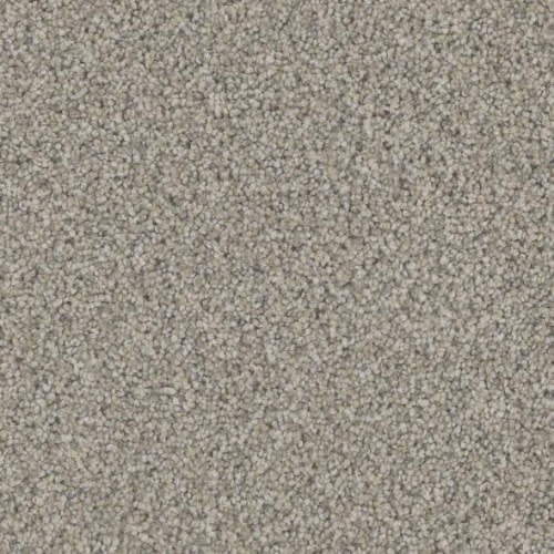 Floorever™ Petplus - Bari by Phenix Carpet