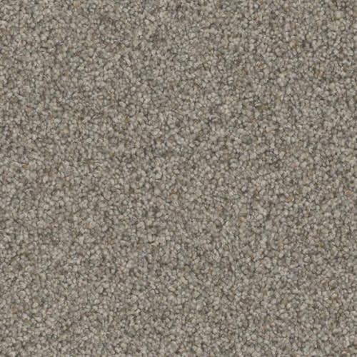 Floorever™ Petplus - Bari by Phenix Carpet - Metropolitan