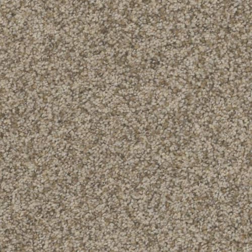 Floorever™ Petplus - Bari by Phenix Carpet