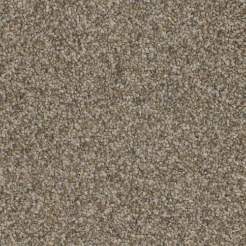 Floorever™ Petplus - Bari by Phenix Carpet