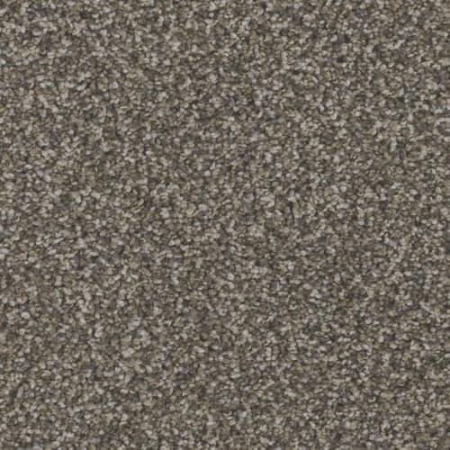 Floorever™ Petplus - Bari by Phenix Carpet - Traditional