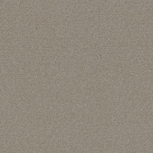 Floorever™ Petplus - Capri by Phenix Carpet - Natural Beauty