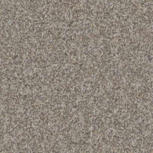 Floorever™ Petplus - Crete by Phenix Carpet - Allure