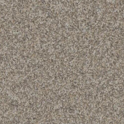 Floorever™ Petplus - Crete by Phenix Carpet - Artifact