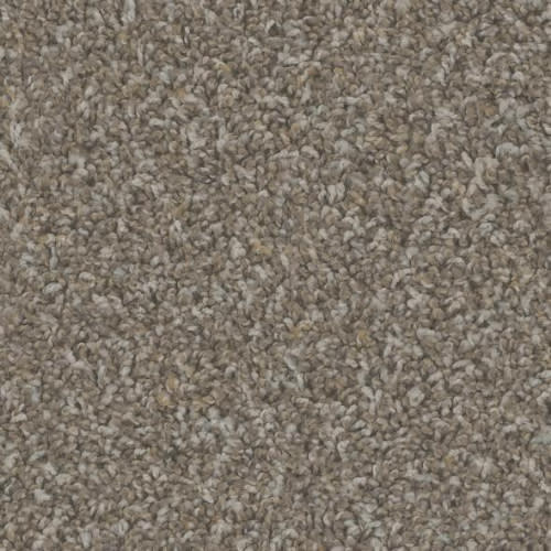 Floorever™ Petplus - Crete by Phenix Carpet - Canyon