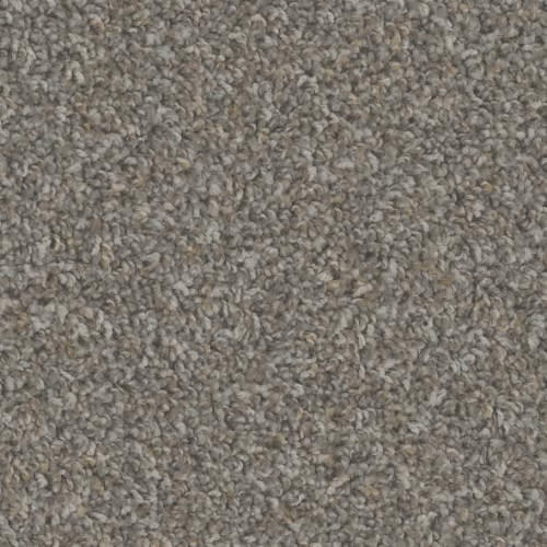 Floorever™ Petplus - Crete by Phenix Carpet - Golden Sand