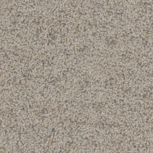 Floorever™ Petplus - Crete by Phenix Carpet