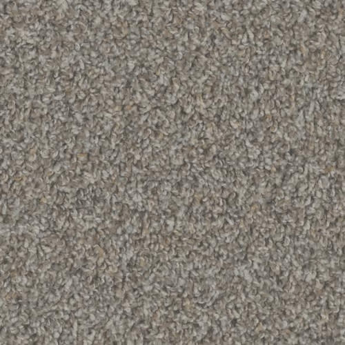 Floorever™ Petplus - Crete by Phenix Carpet - Natural Beauty