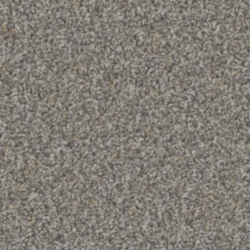 Floorever™ Petplus - Crete by Phenix Carpet - Noteworthy