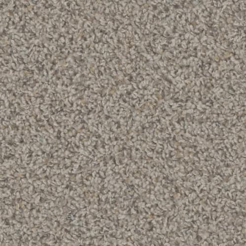 Floorever™ Petplus - Crete by Phenix Carpet - Palm Forest