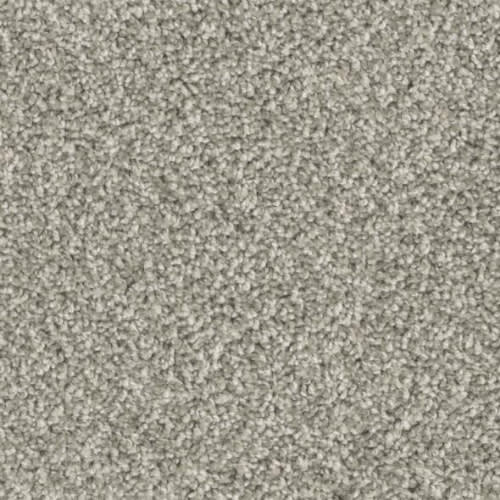 Floorever™ Petplus - Crystal Cove by Phenix Carpet - Cool Breeze