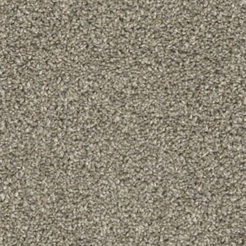 Floorever™ Petplus - Crystal Cove by Phenix Carpet