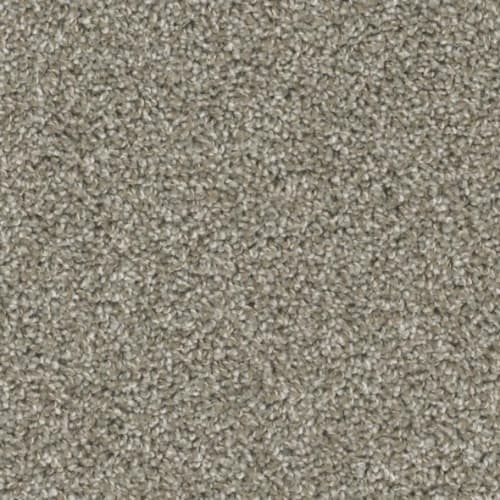 Floorever™ Petplus - Crystal Cove by Phenix Carpet