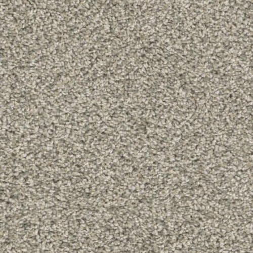 Floorever™ Petplus - Crystal Cove by Phenix Carpet - Morning Fog