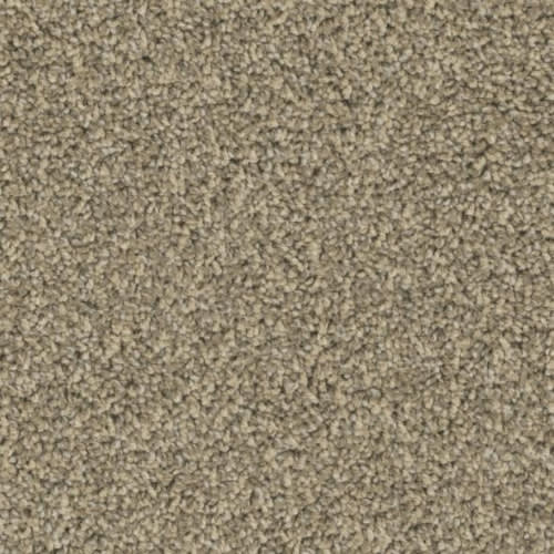 Floorever™ Petplus - Crystal Cove by Phenix Carpet - Natural Scene