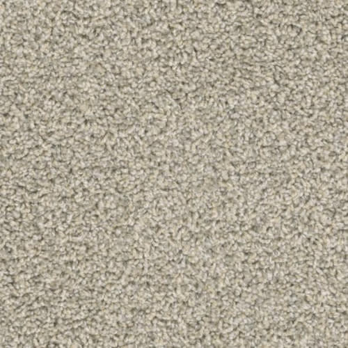 Floorever™ Petplus - Crystal Cove by Phenix Carpet - Ocean Froth