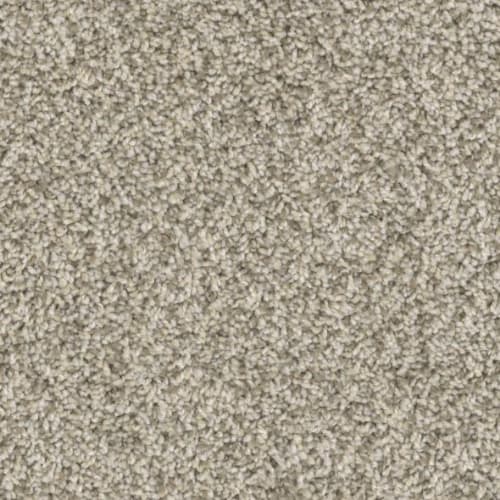 Floorever™ Petplus - Crystal Cove by Phenix Carpet - Picturesque