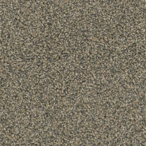 Floorever™ Petplus - Crystal Cove by Phenix Carpet - Rocky Bluff