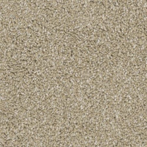 Floorever™ Petplus - Crystal Cove by Phenix Carpet - Sandy Shore