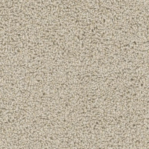 Floorever™ Petplus - Crystal Cove by Phenix Carpet - Sunlight