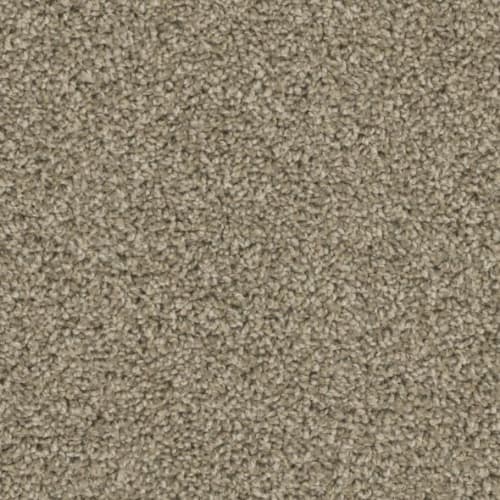 Floorever™ Petplus - Crystal Cove by Phenix Carpet - Trailhead