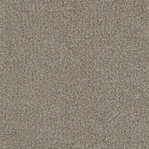 Floorever™ Petplus - Emerson by Phenix Carpet - Authentic