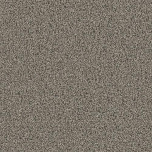 Floorever™ Petplus - Emerson by Phenix Carpet - Modern