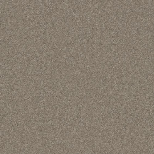 Microban® Polyester - Ethereal by Phenix Carpet - Pleasing