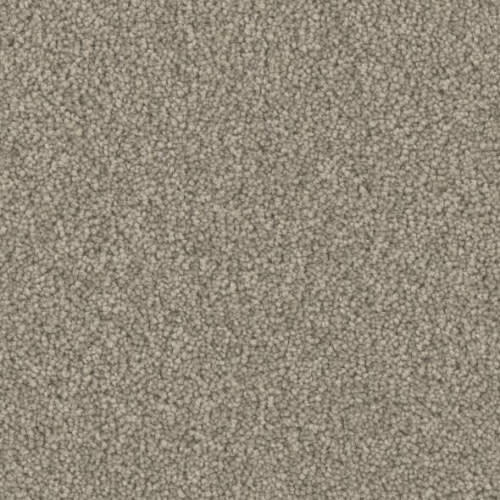 Microban® Polyester - Five Star by Phenix Carpet - Admirable