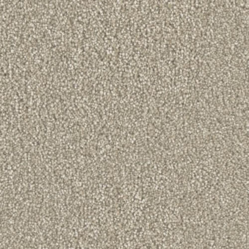 Microban® Polyester - Five Star by Phenix Carpet - Capital