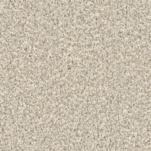 Microban® Polyester - Five Star by Phenix Carpet - Champion