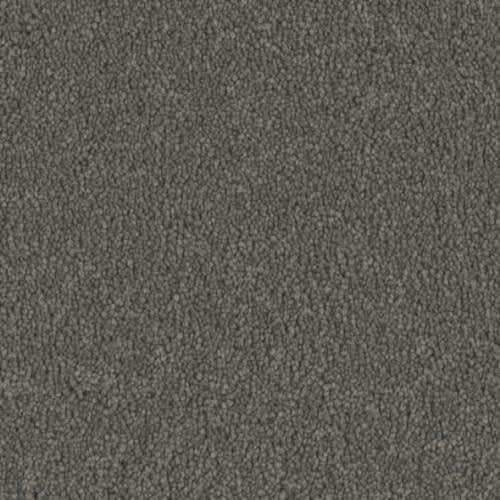 Microban® Polyester - Five Star by Phenix Carpet - Choice