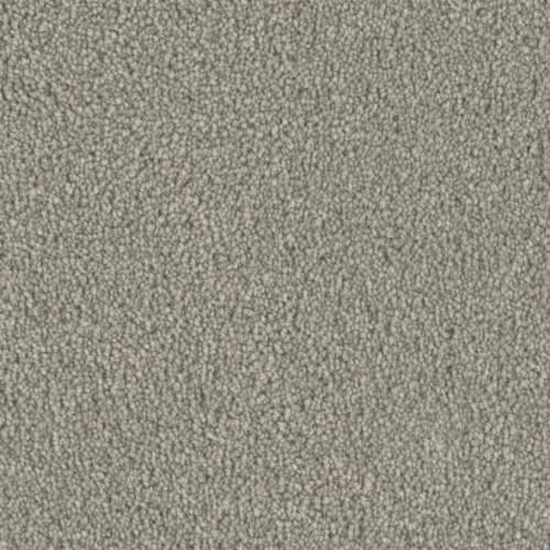 Microban® Polyester - Five Star by Phenix Carpet - Elite