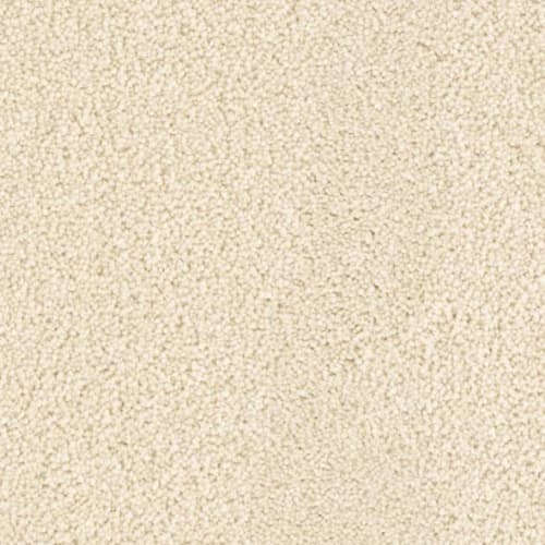 Microban® Polyester - Five Star by Phenix Carpet - Exclusive