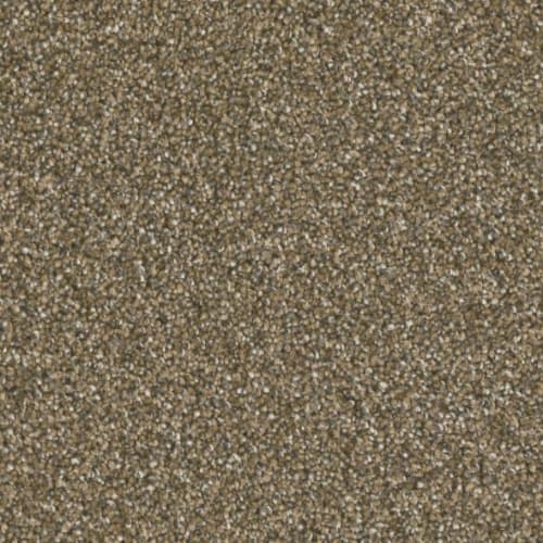 Microban® Polyester - Five Star by Phenix Carpet - Finest