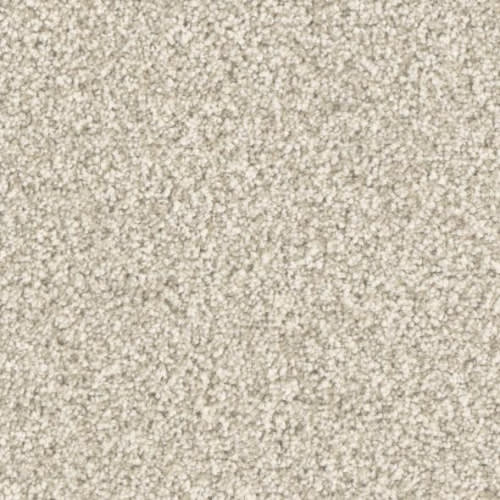 Microban® Polyester - Five Star by Phenix Carpet - First Rate