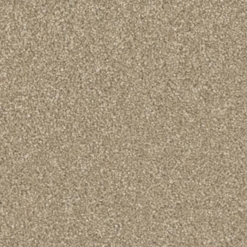 Microban® Polyester - Five Star by Phenix Carpet - High Life