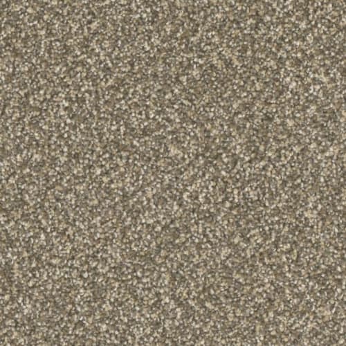 Microban® Polyester - Five Star by Phenix Carpet - Leading