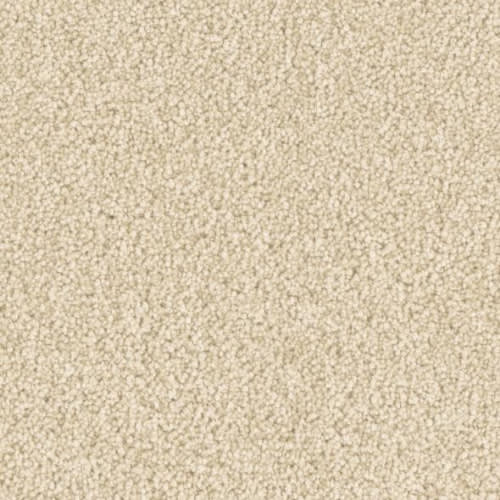 Microban® Polyester - Five Star by Phenix Carpet - Pleasant