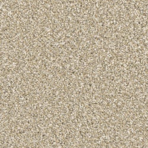 Microban® Polyester - Five Star by Phenix Carpet - Prime