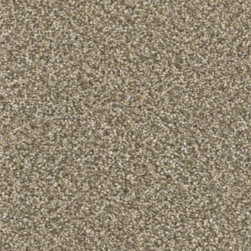 Microban® Polyester - Five Star by Phenix Carpet - Smart Set