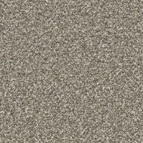 Microban® Polyester - Five Star by Phenix Carpet - Superb