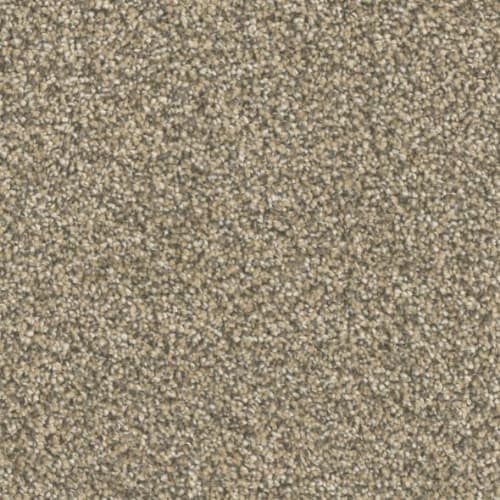 Microban® Polyester - Five Star by Phenix Carpet - Tip Top